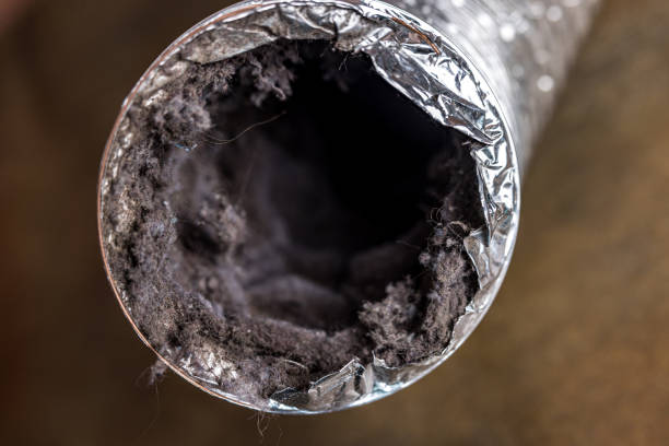 Best HVAC Air Duct Cleaning  in , AZ