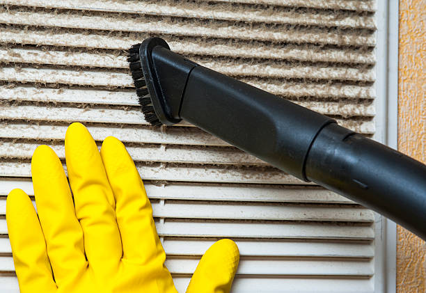Best Ductwork Cleaning Services  in , AZ